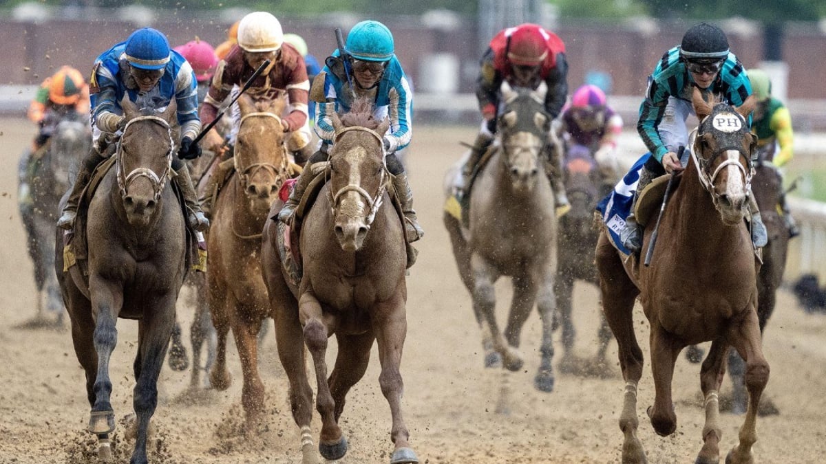 Preakness 2023 Draw Results, Updated Betting Odds