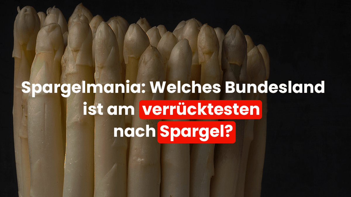 Spargelmania: In welchem Bundesland liegt Deutschlands Spargel-Herz?