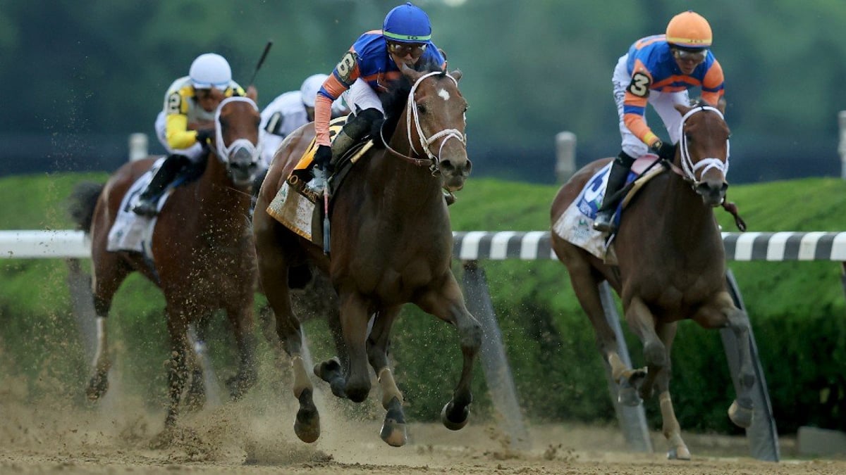 Belmont Stakes 2023 Betting Guide: Odds, Picks, Betting Advice