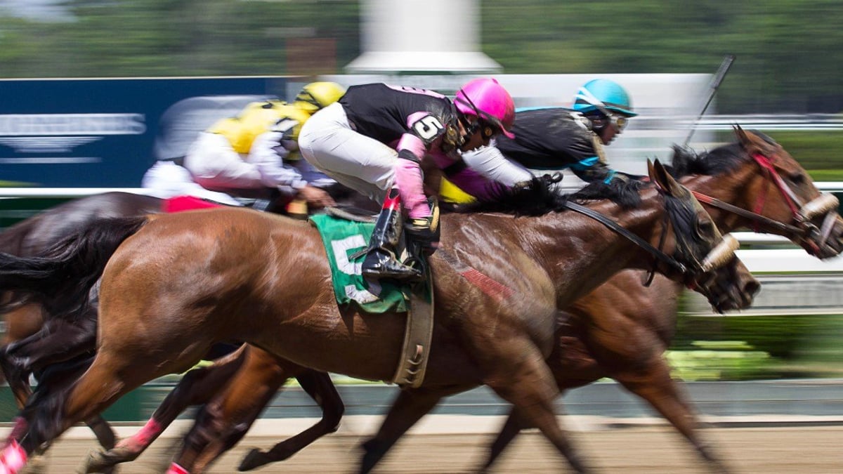 Belmont Stakes 2023: Best Bets, Expert Picks, Odds and Predictions Today