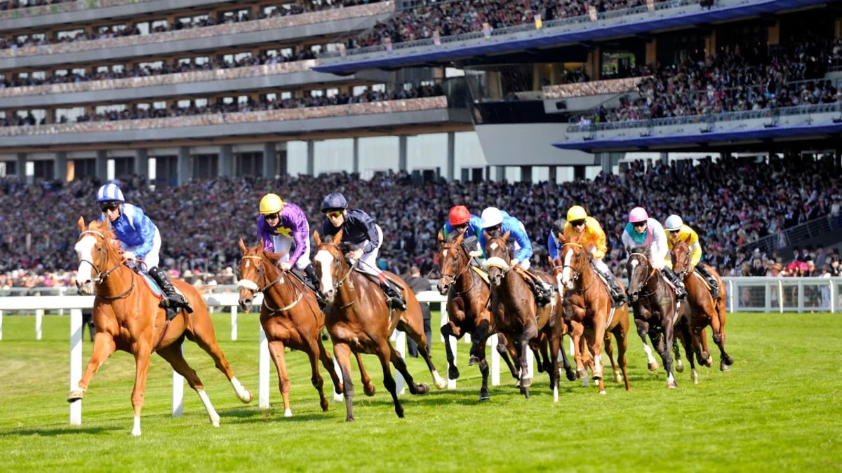 Five Of The Best Flat Races Of All Time