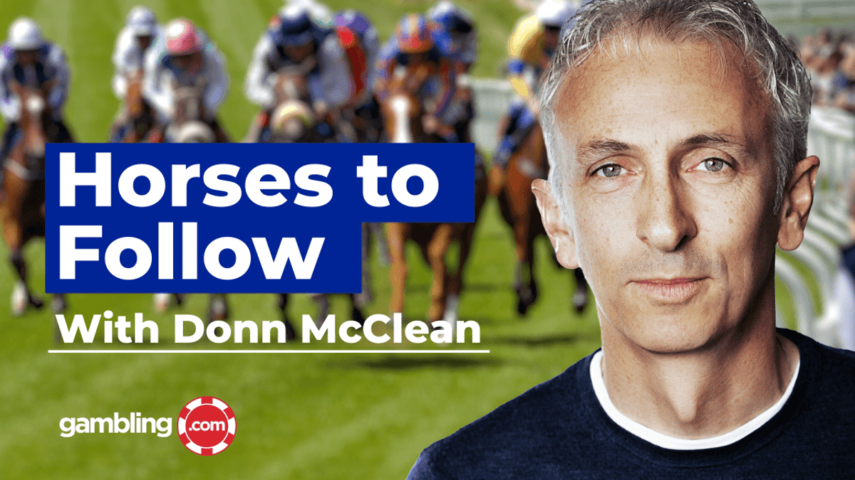 Donn McClean&#039;s Horses to Follow: January 15th to January 22nd