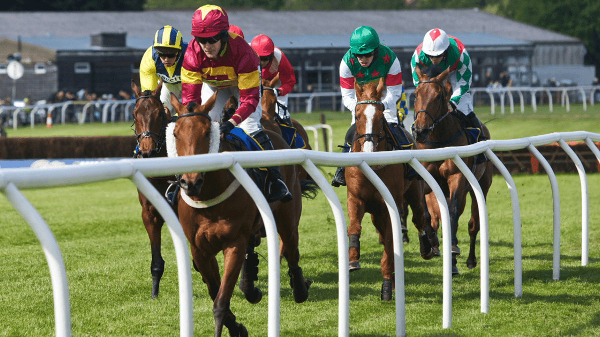Horse Racing Picks, Tips &amp; Best Bets: Newmarket, Newcastle, Chester – Saturday July 1st