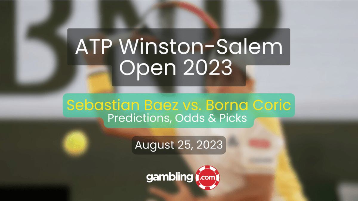 ATP Winston-Salem Predictions Day 6: Coric  vs. Baez Prediction &amp; Odds