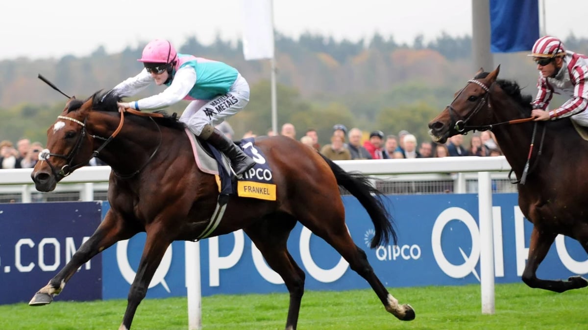 Horse Racing Betting: Donn McClean’s Three Most Memorable Champion Stakes Winners