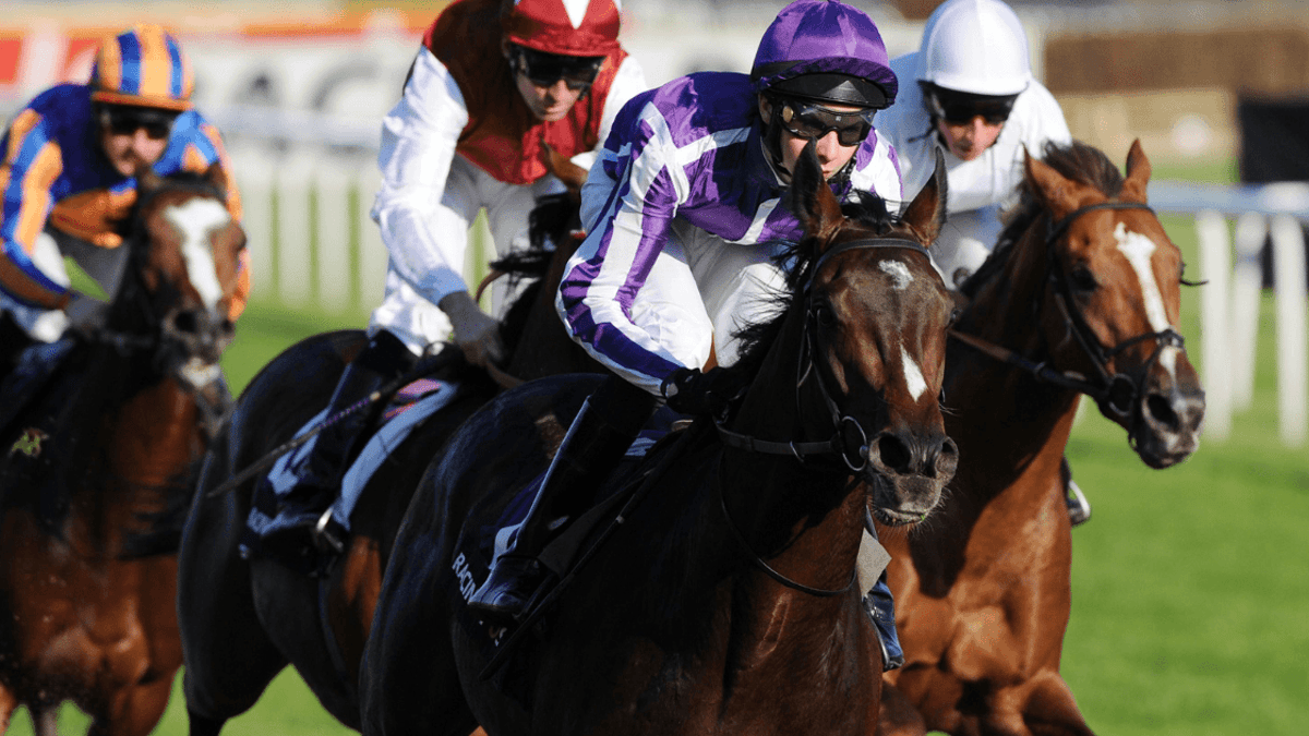Horse Racing Betting: Donn McClean’s Three Of The Best Futurity Trophy Winners