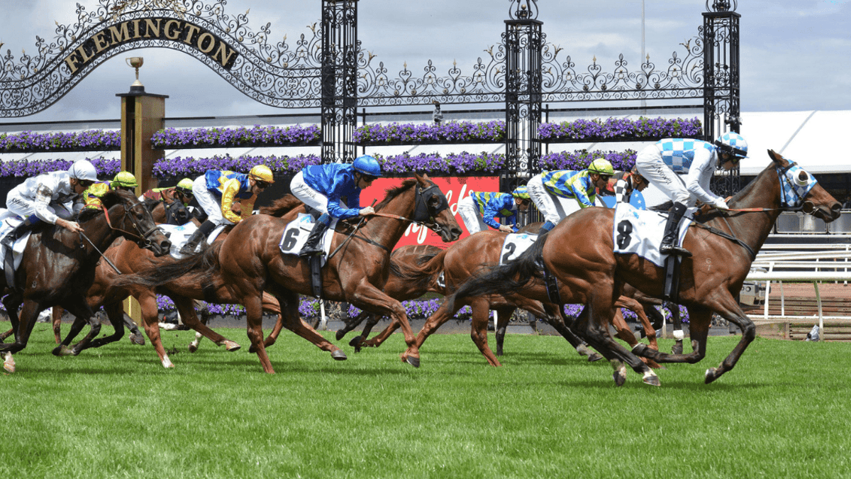 Melbourne Cup Tips: Best Bets, Odds &amp; Analysis