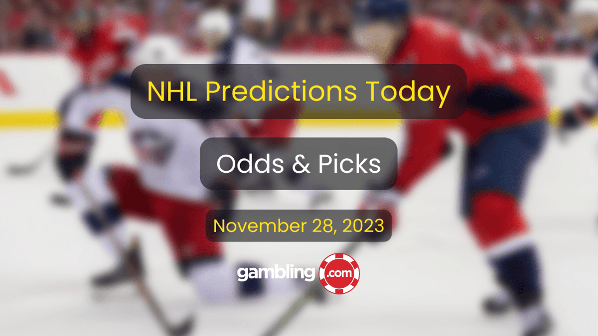 Best NHL Bets Today: NHL Picks, Odds &amp; NHL Predictions for 11/28