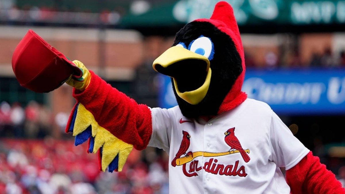 St Louis Cardinals Flying High As Most Successful Bird In US Sport