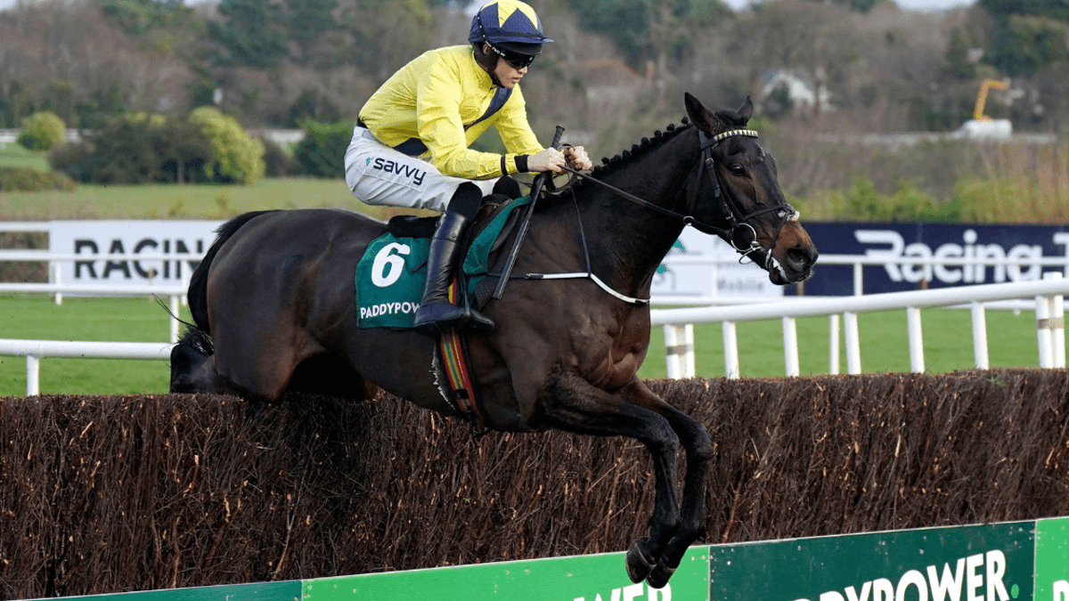 Donn McClean Takes A Closer Look At The Novice Chase Divisions