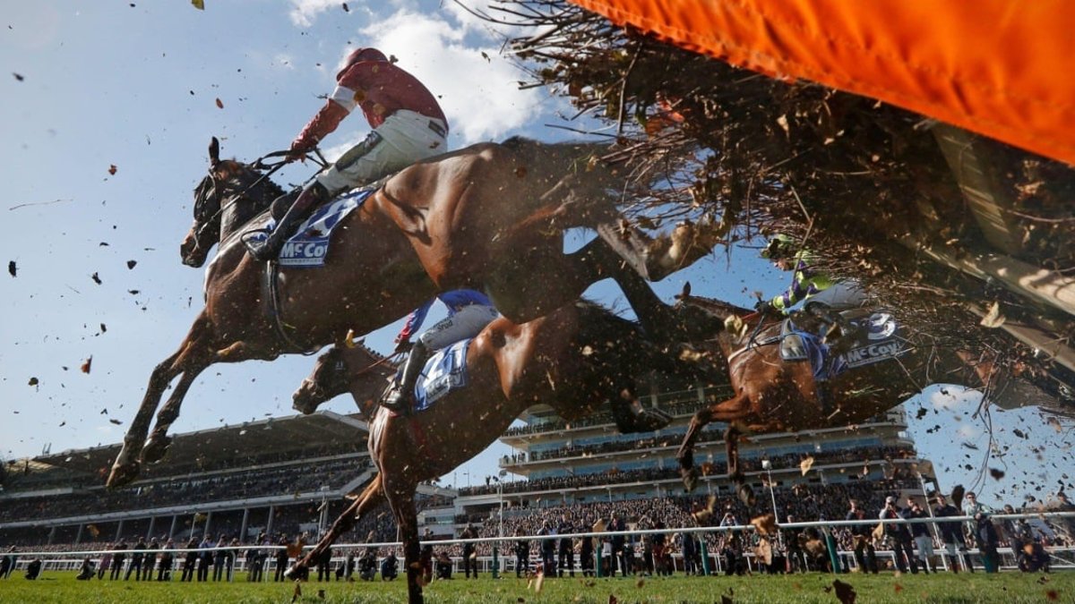 Horse Racing Terms Explained: A-Z Glossary For Racing Punters