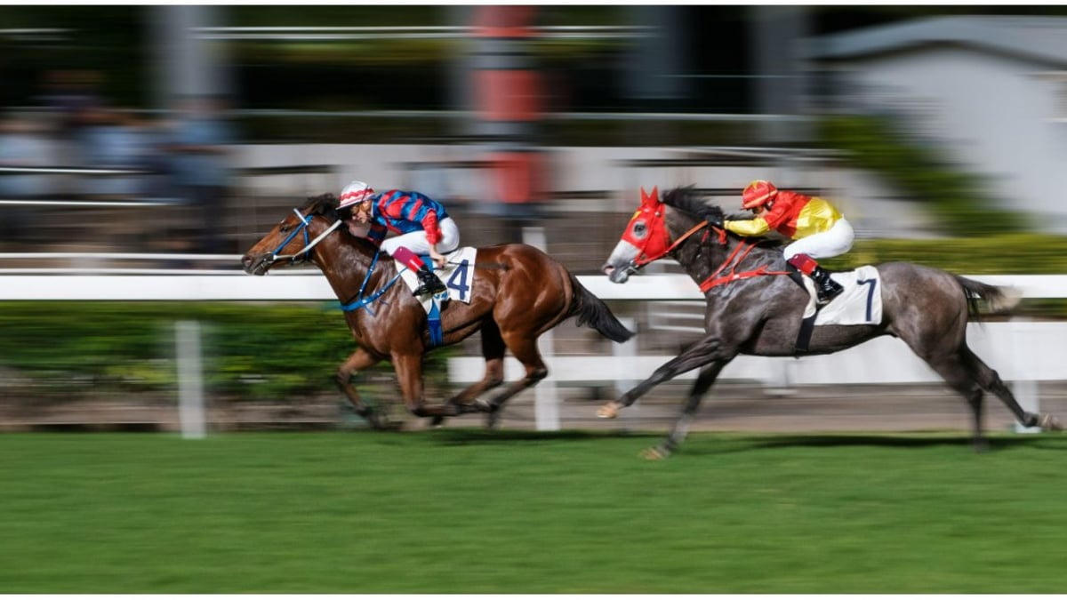 Horse Racing Betting Strategy: Choosing and Using a Strategy