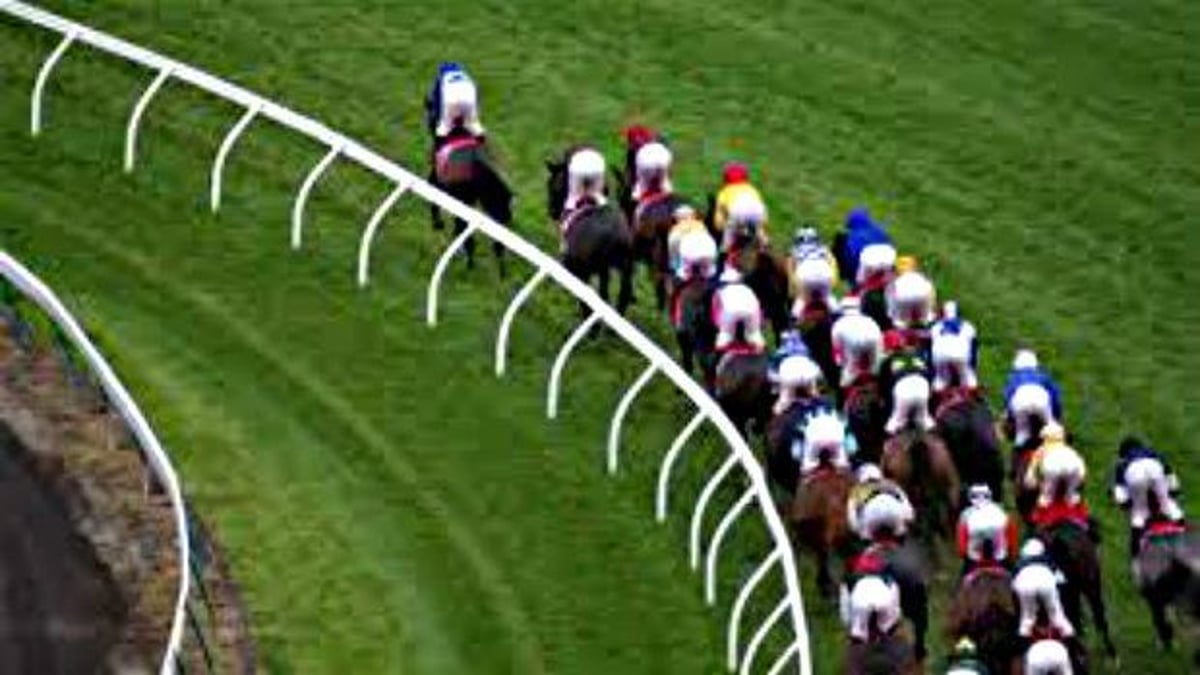 Sports Betting Strategy: Horse Racing