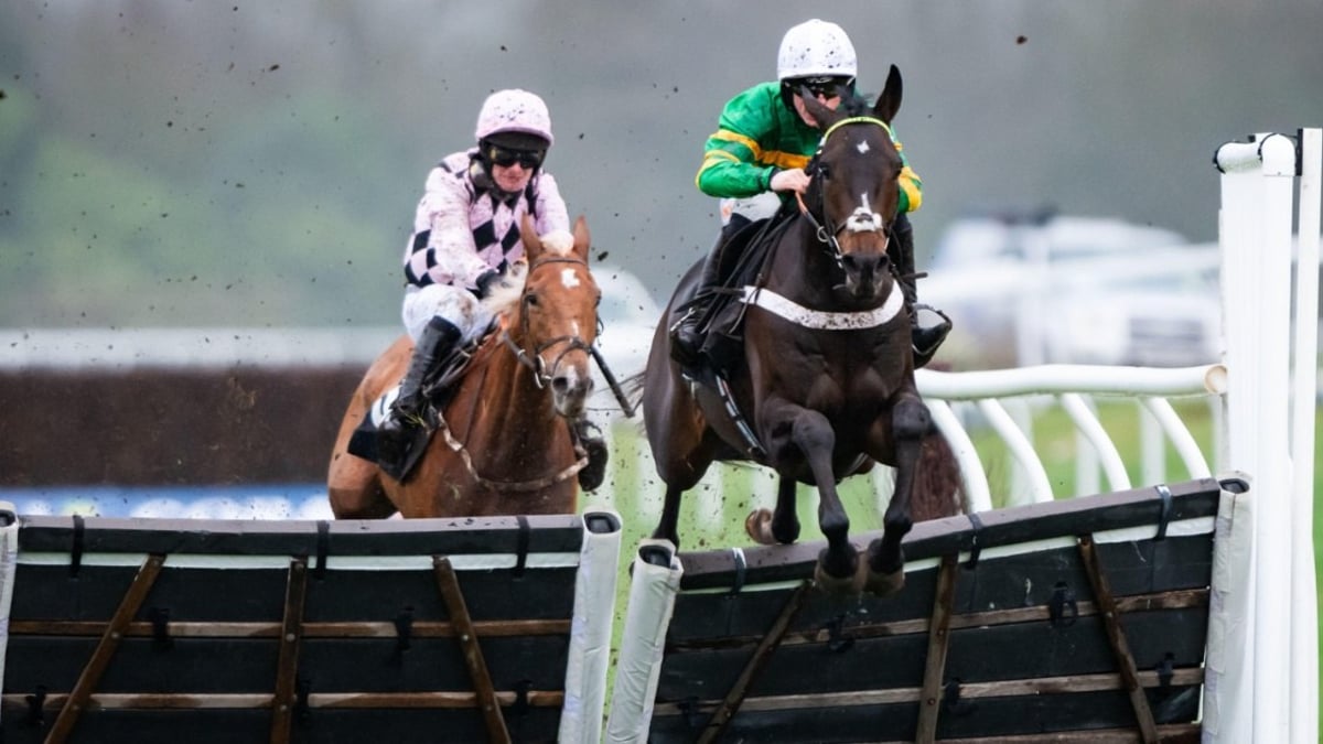 Cheltenham Tips: Our Supreme Novices Hurdle Pick For Tuesday&#039;s Opening Race