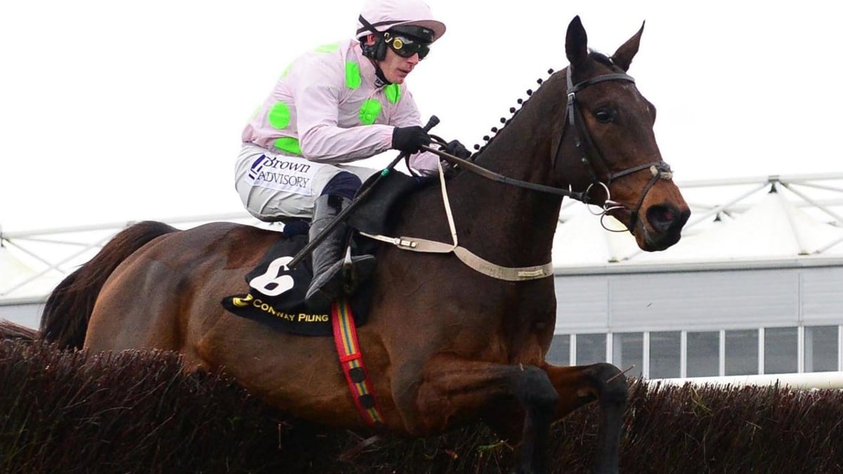 Cheltenham Tips: Our Best Bets for Day 1 At The Festival