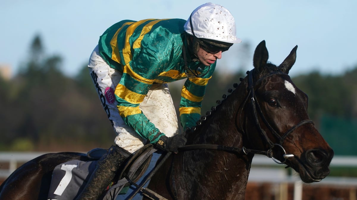 Cheltenham Tips: Our Best Bets for Day 2 At The Festival
