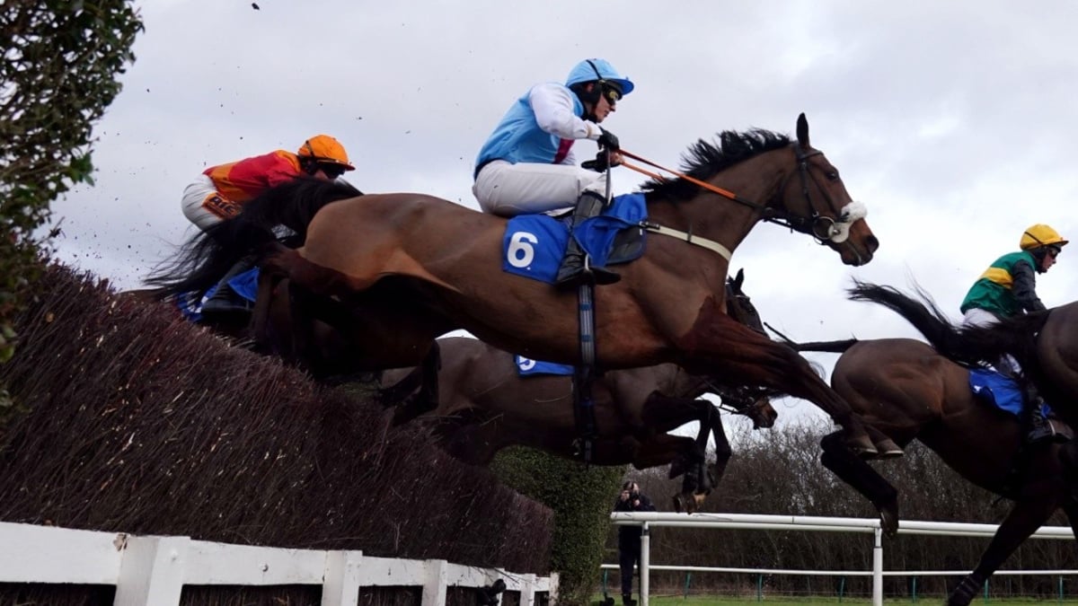 Cheltenham Tips: Our Best Big Odds Bets For Friday At The Festival