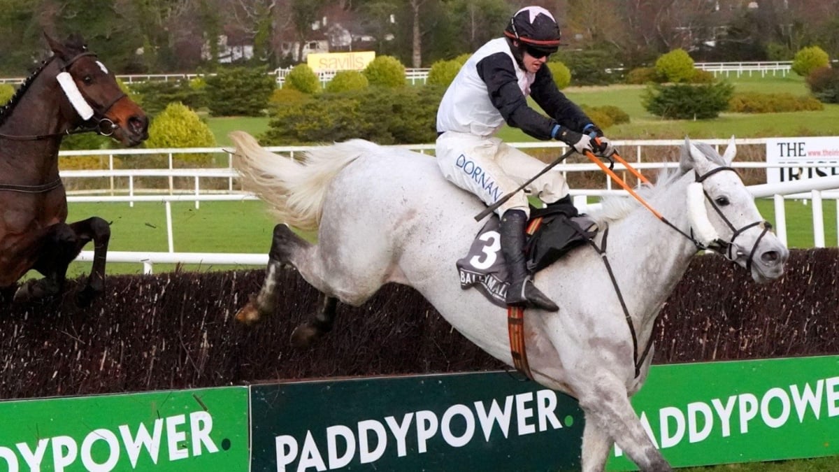 Cheltenham Tips: 2 Outsiders That Could Outrun Their Gold Cup Odds