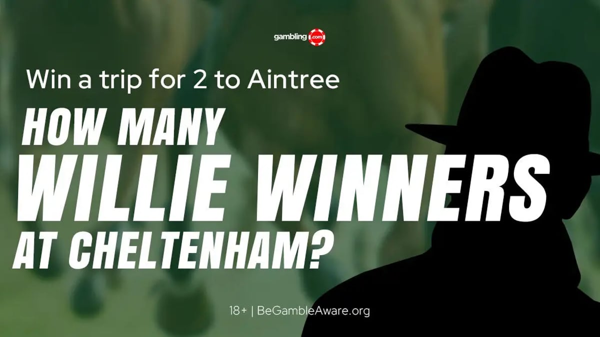 How Many Winners Will Willie Mullins Have At Cheltenham? Vote Now!