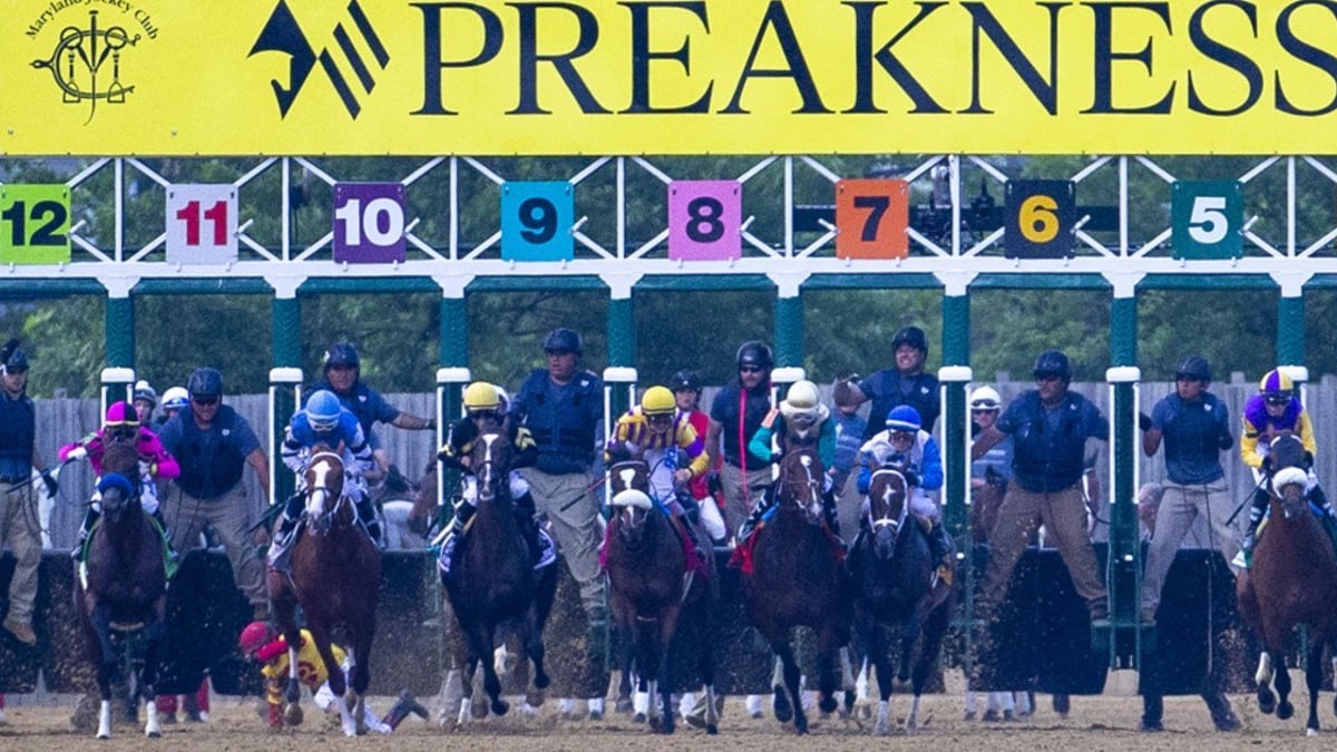 Sovereignty Not Running In Preakness, But Will Journalism Compete? Sovereignty Not Running In Preakness, But Will Journalism Compete?