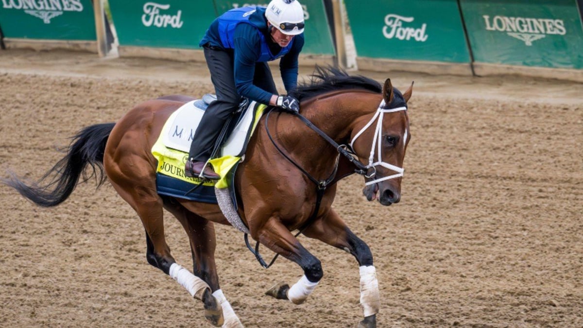 'We Are Going To The Preakness,' Journalism Co-Owner Says 'We Are Going To The Preakness,' Journalism Co-Owner Says