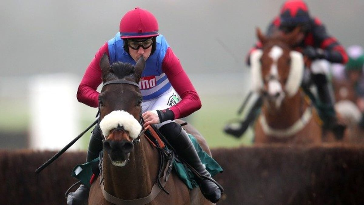 National Hunt Chase Tips: 2024 Betting Preview &amp; Trends
