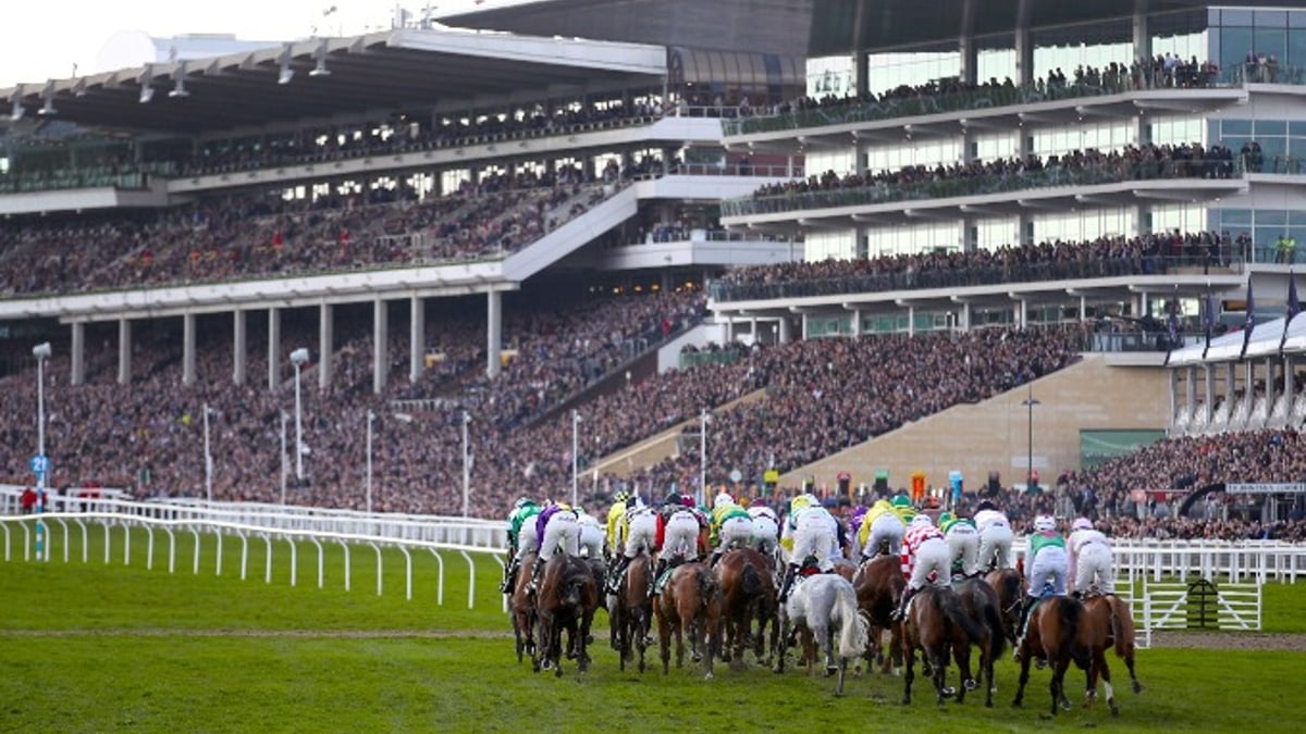 County Hurdle Tips: 2024 Betting Preview &amp; Trends