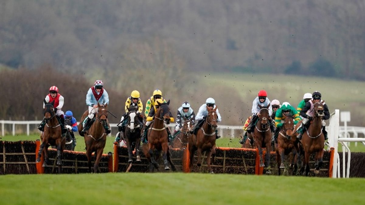 Mares’ Novices’ Hurdle Tips: 2024 Betting Preview &amp; Trends