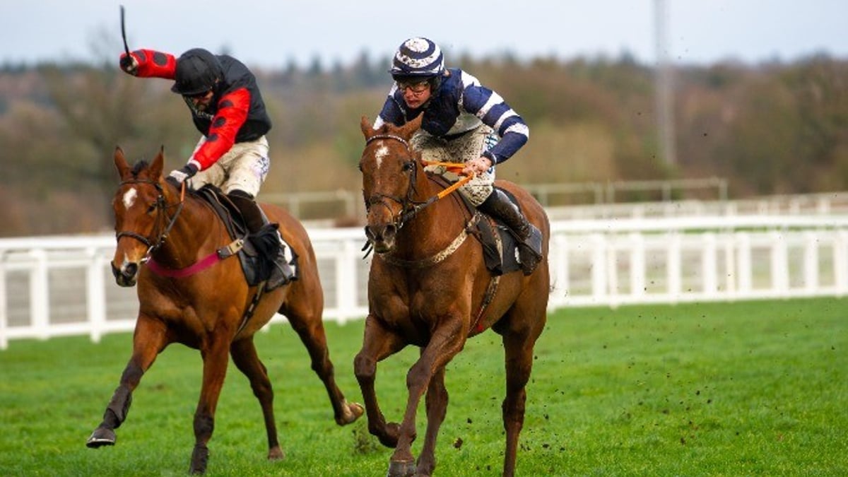 Martin Pipe Handicap Hurdle Tips: 2024 Betting Preview &amp; Trends 