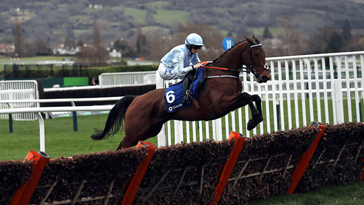 Champion Hurdle Tips: 2024 Betting Preview &amp; Trends