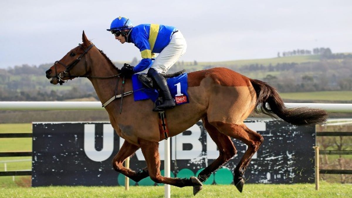 Supreme Novices’ Hurdle Tips: 2024 Betting Preview &amp; Trends