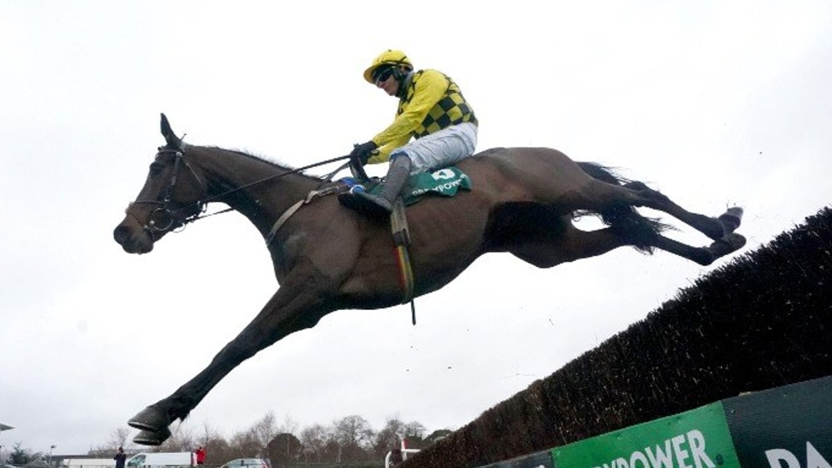 Arkle Chase Tips: 2024 Betting Preview &amp; Trends
