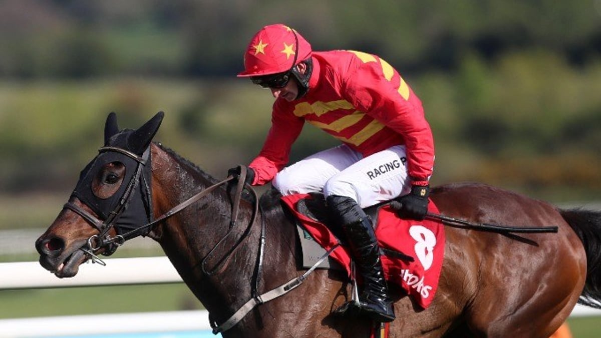 Stayers’ Hurdle Tips: 2024 Betting Preview &amp; Trends