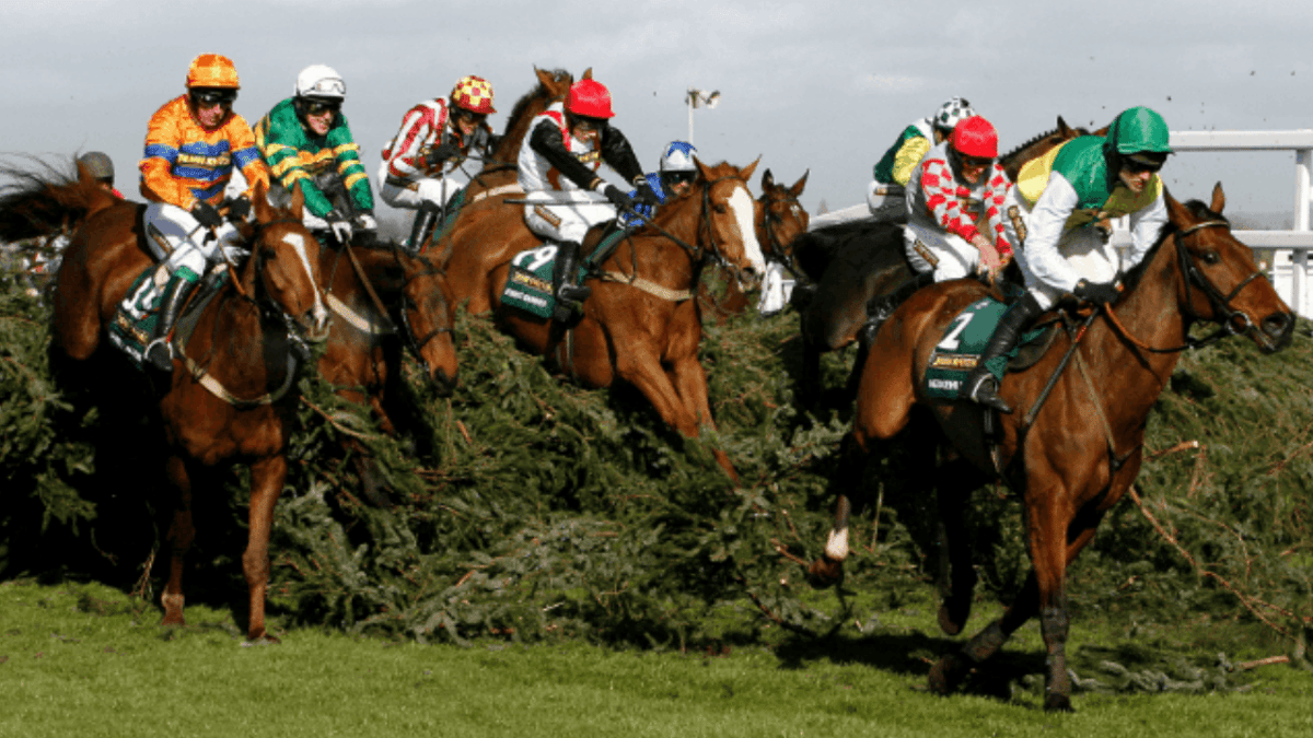 How Has The Grand National Changed?