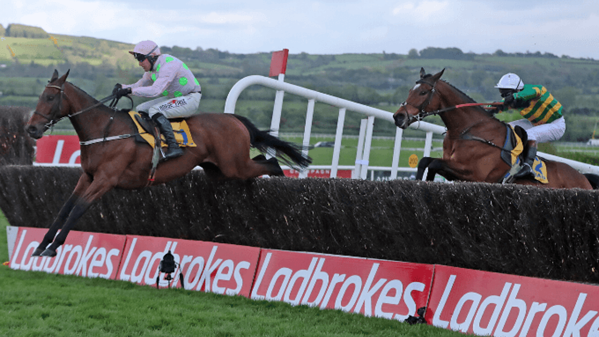 Queen Mother Champion Chase Tips, Odds & Analysis Queen Mother Champion Chase Tips, Odds & Analysis