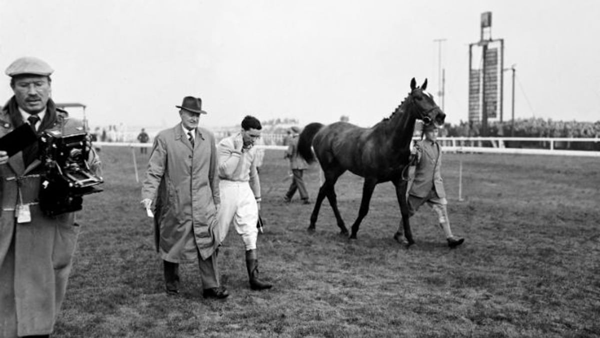 The Story of Devon Loch and the 1956 Grand National