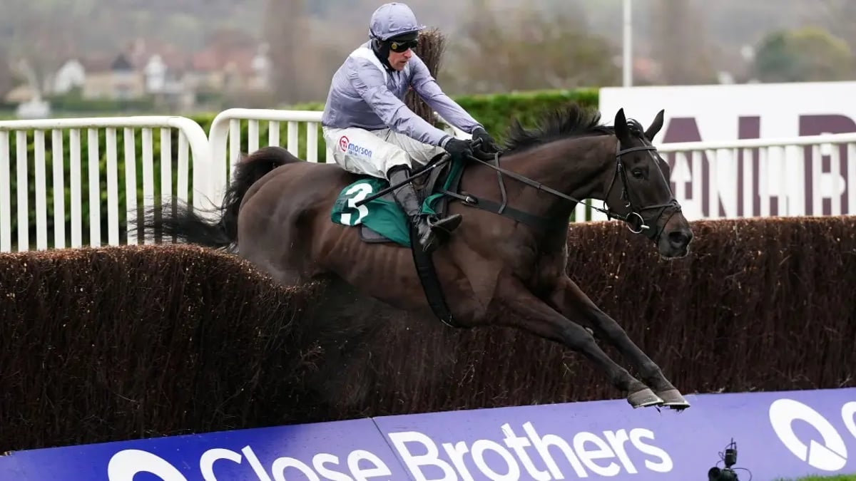 Aintree Festival 2025: Tanya Stevenson's Selections For Thursday Aintree Festival 2025: Tanya Stevenson's Selections For Thursday