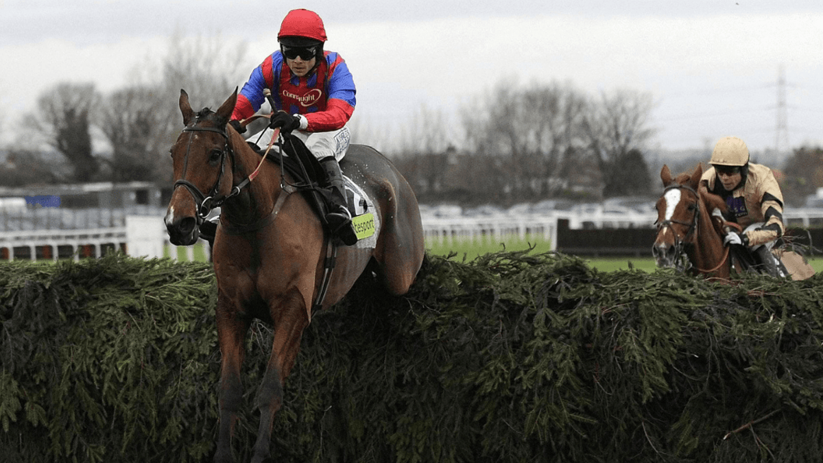 Horse Racing Tips: Tanya Stevenson's 3 Bets For Aintree & Wincanton On Saturday Horse Racing Tips: Tanya Stevenson's 3 Bets For Aintree & Wincanton On Saturday