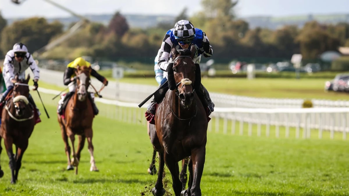 Irish Eyes Will Be Smiling: Al Riffa To Teach Aussies A Lesson On Their Own Soil