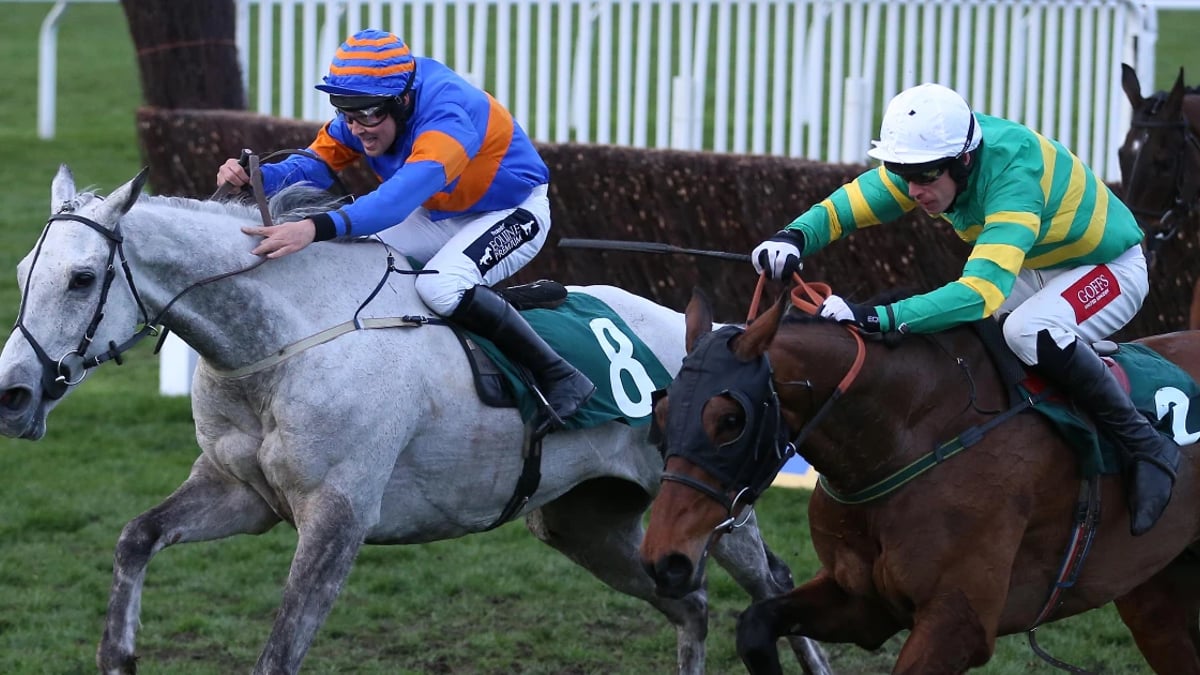 Irish Grand National Tips: Don't Discount The Veterans Irish Grand National Tips: Don't Discount The Veterans