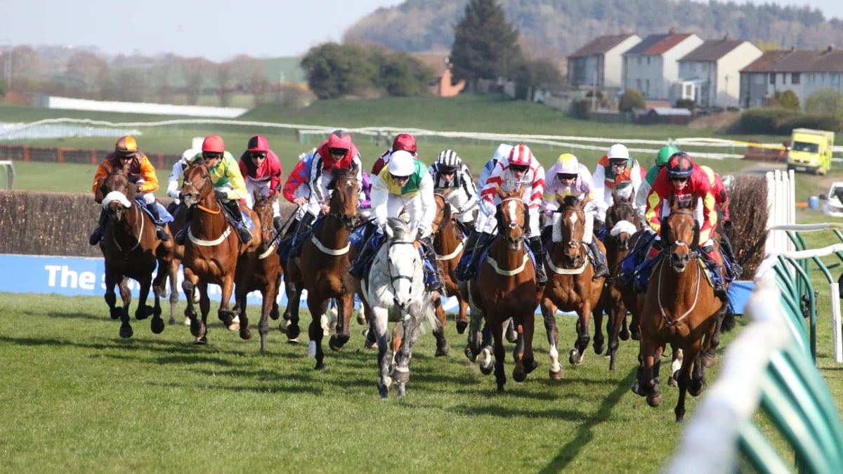 Tanya Stevenson's Selections For Scottish Grand National Day Tanya Stevenson's Selections For Scottish Grand National Day