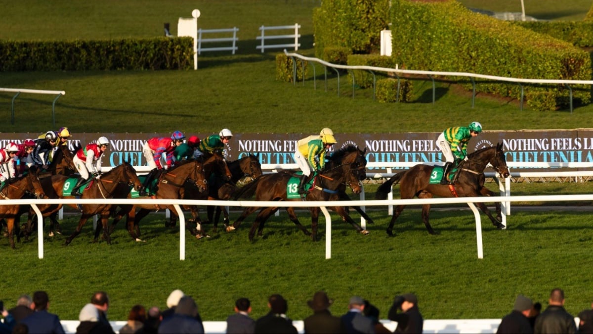 BetVictor Cheltenham Offers For The Gold Cup: £30 in Free Bets on Day 4 BetVictor Cheltenham Offers For The Gold Cup: £30 in Free Bets on Day 4