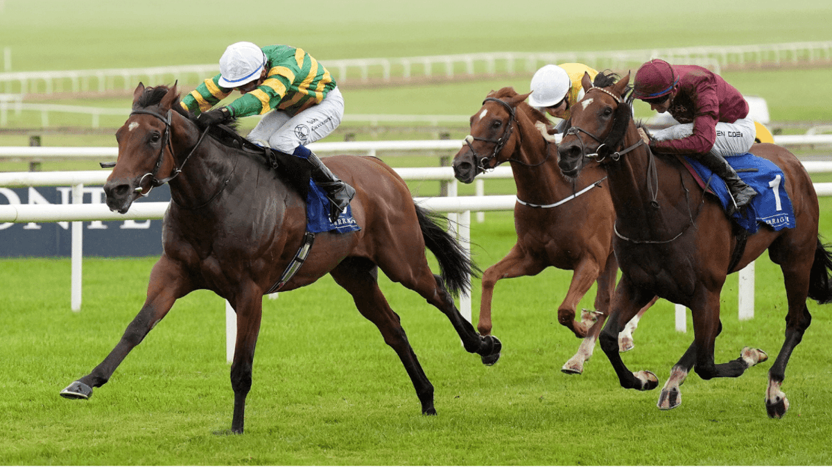 Cheltenham Day 1 Handicap Tips With Extra Each-Way Places Cheltenham Day 1 Handicap Tips With Extra Each-Way Places
