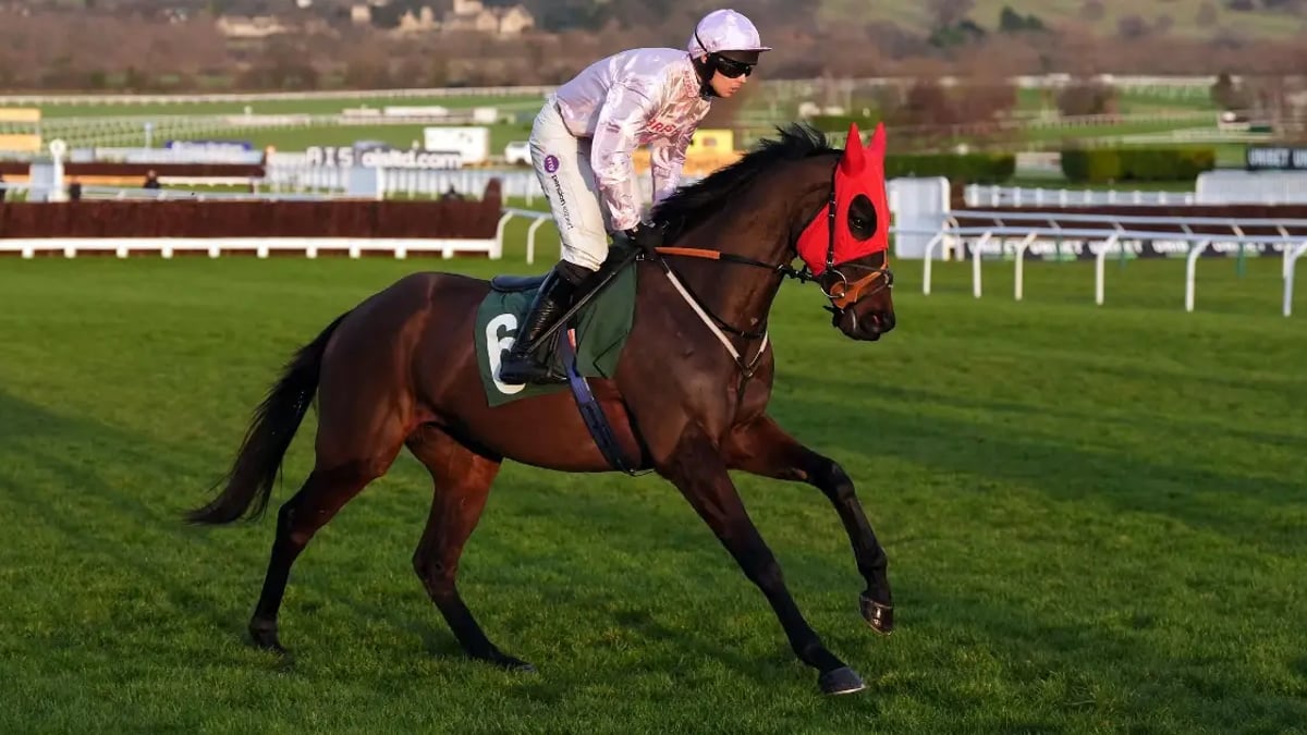 Cheltenham Festival 2025 Odds: Dark Horses Cheltenham Festival 2025 Odds: Dark Horses