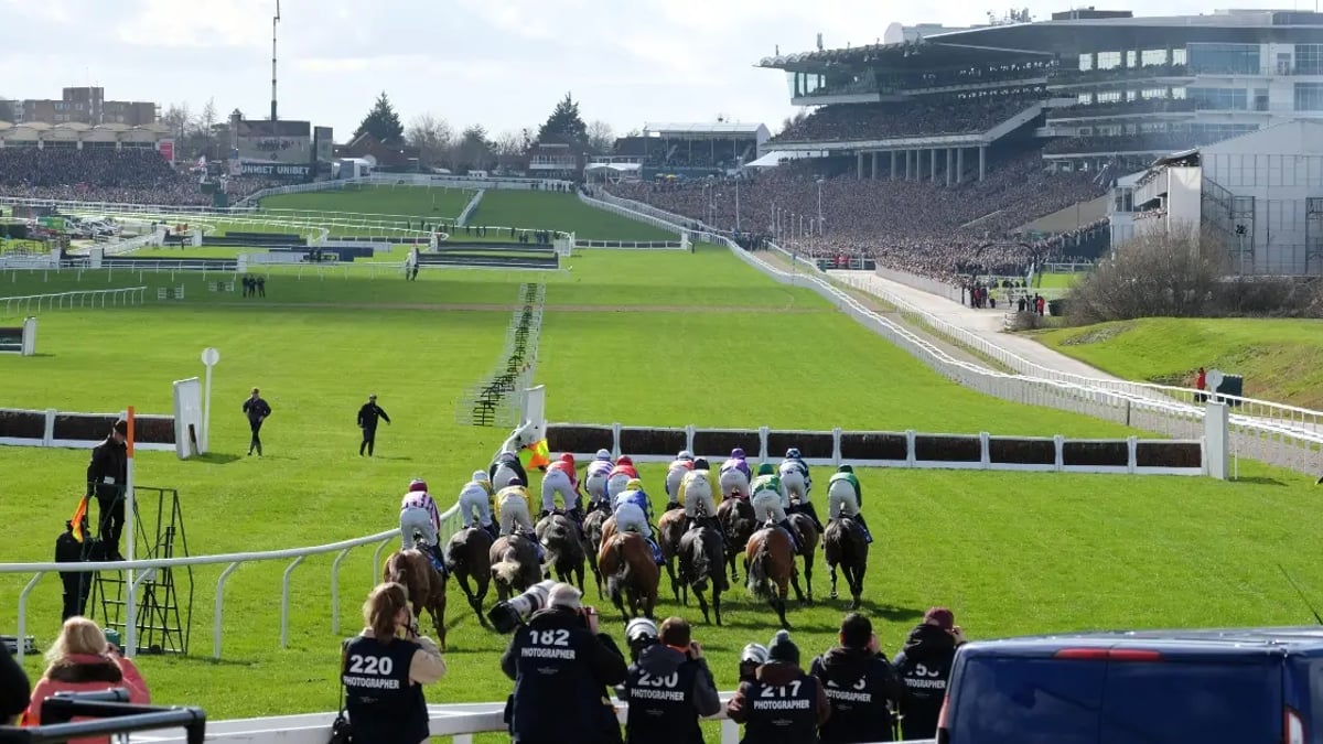Cheltenham Offers: Best Free Bets And Promotions From Day 4 Of The 2025 Festival Cheltenham Offers: Best Free Bets And Promotions From Day 4 Of The 2025 Festival