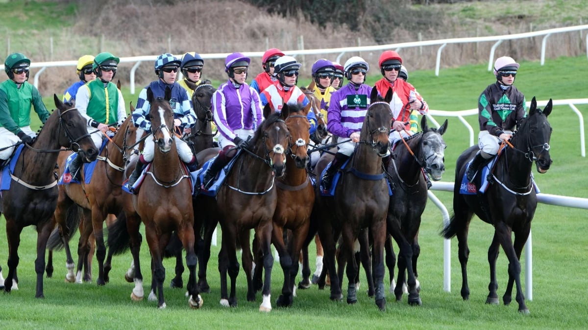 Cheltenham Bankers: Can These Hot Favourites Be Beaten At The Festival? Cheltenham Bankers: Can These Hot Favourites Be Beaten At The Festival?