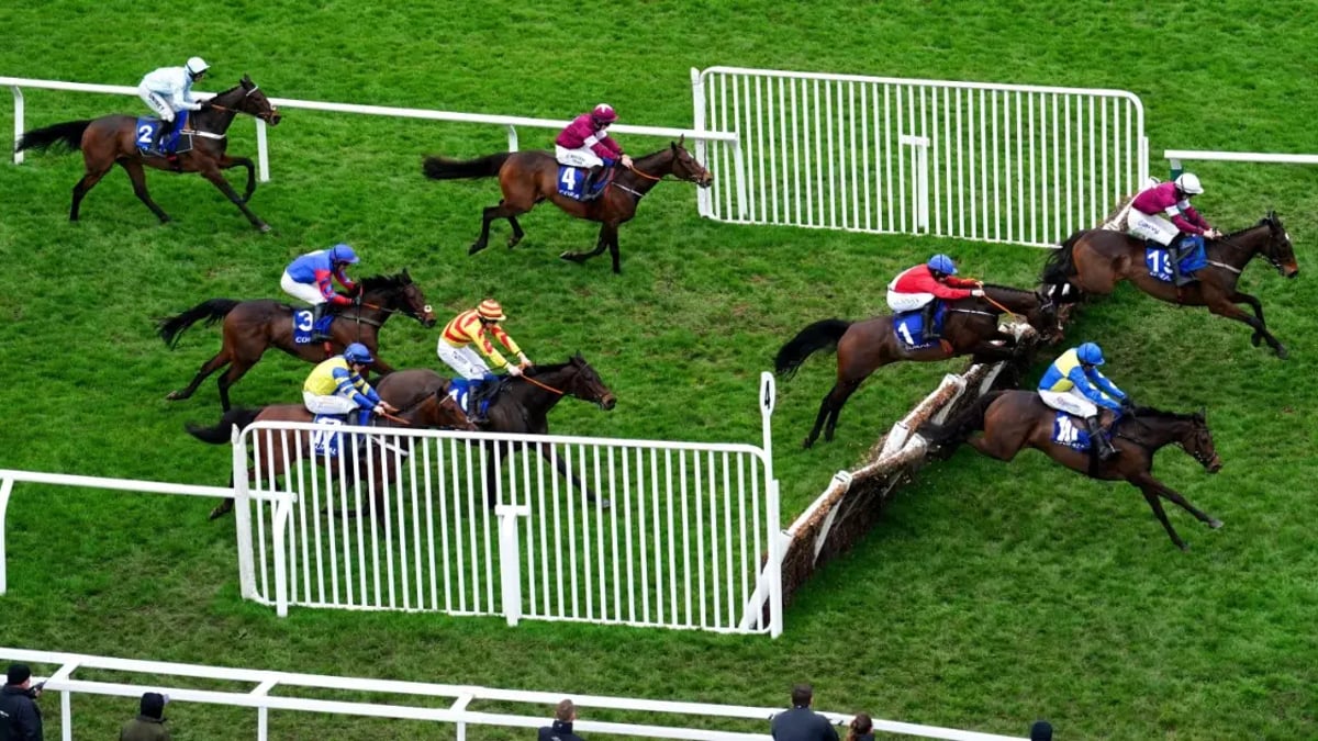 Cheltenham Live Stream: Watch Cheltenham Festival Races At Online Bookies