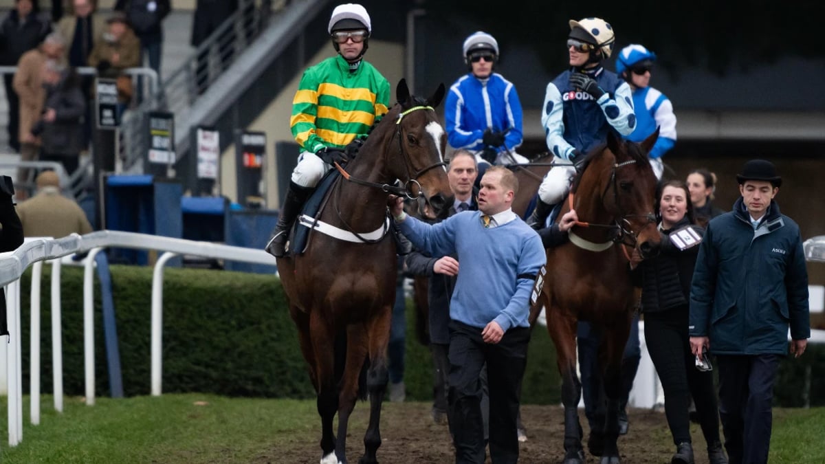 Cheltenham 2025: Will The Day One Four-Timer Gamble Be Landed? Cheltenham 2025: Will The Day One Four-Timer Gamble Be Landed?