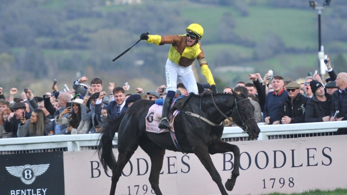 Cheltenham 2025: Top Five Gold Cup Race Trends Cheltenham 2025: Top Five Gold Cup Race Trends