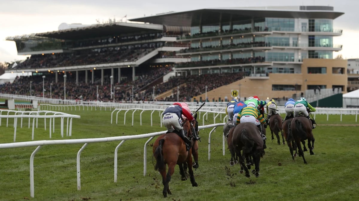 Racehour&#039;s Best Handicap Bets At The Cheltenham Festival